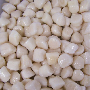 bay-scallops-peru